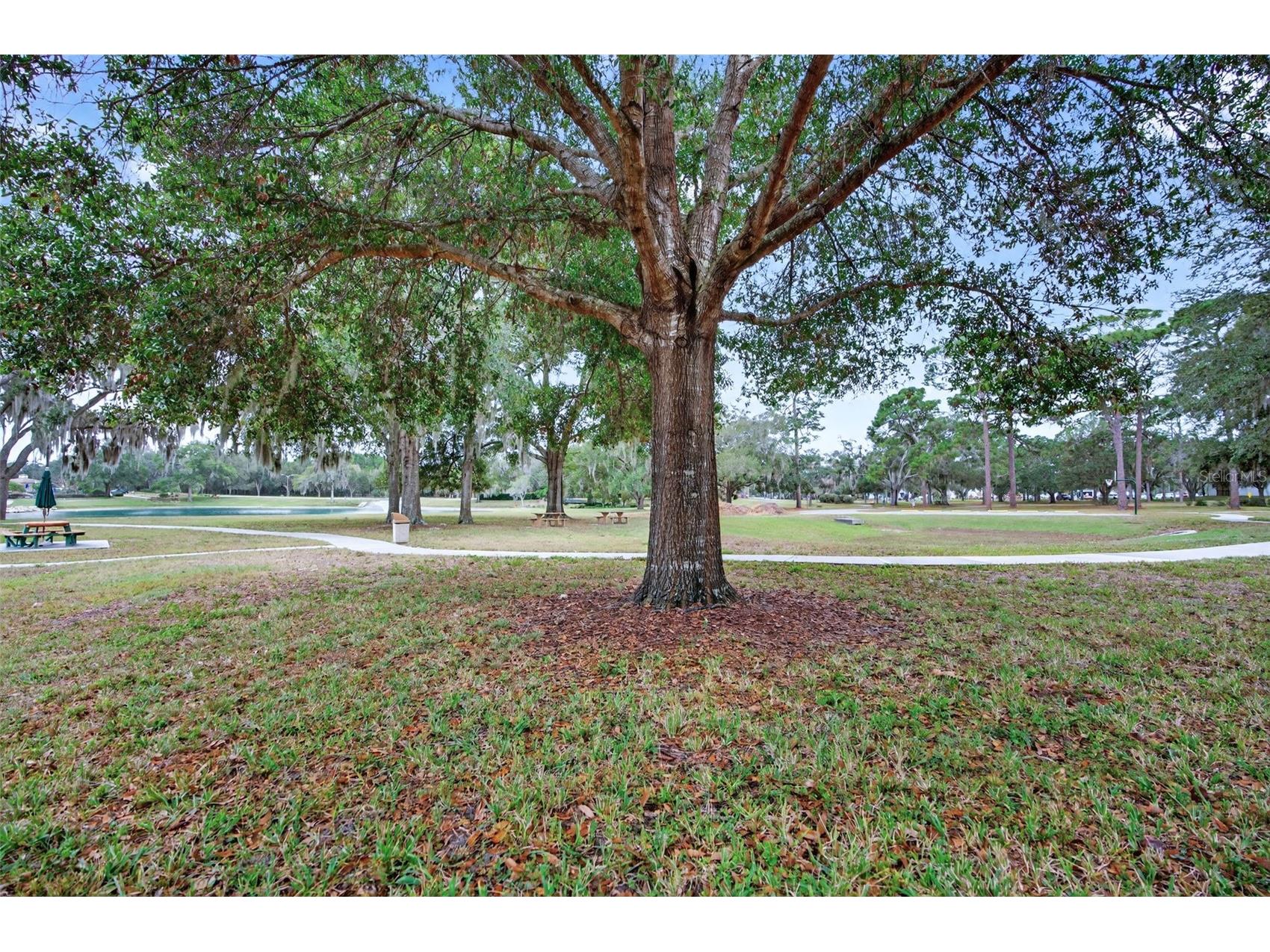 6243 W Lexington Drive Crystal River FL 34429 OM716440 image48