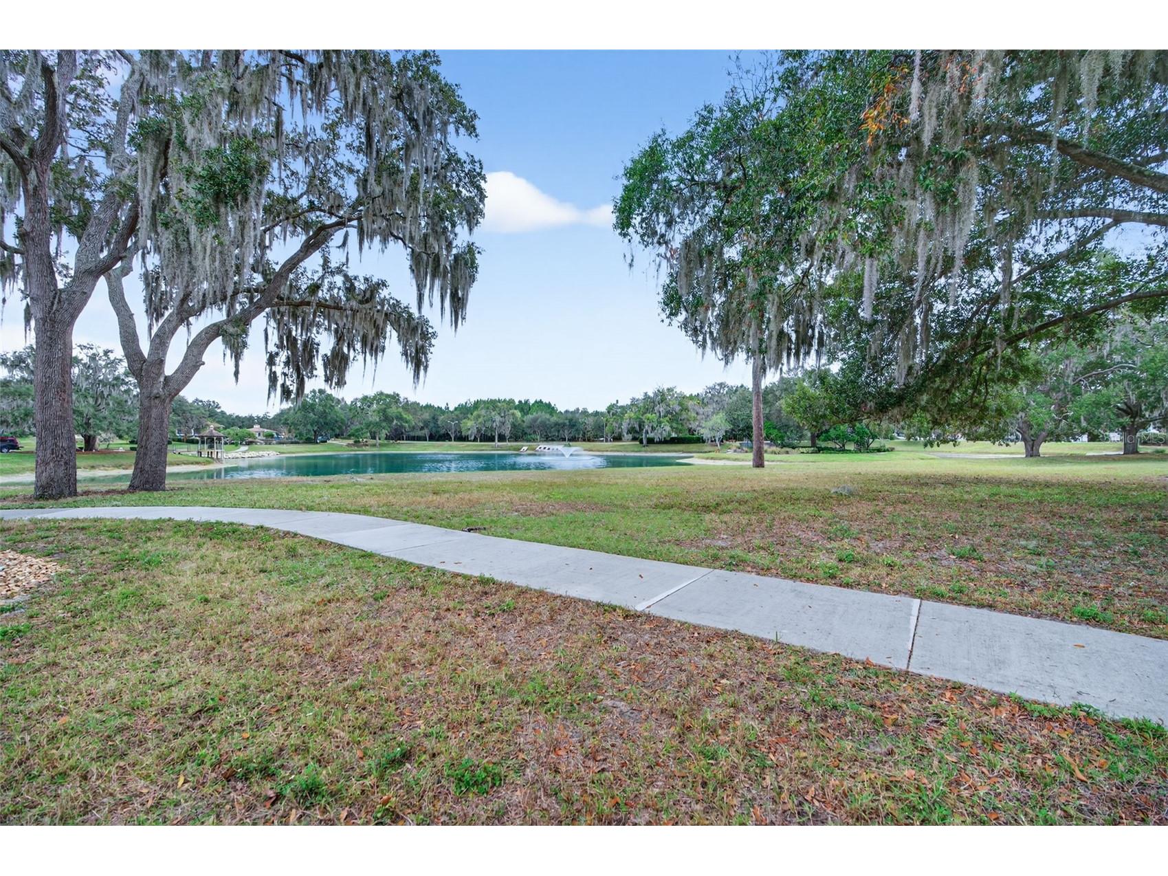6243 W Lexington Drive Crystal River FL 34429 OM716440 image49
