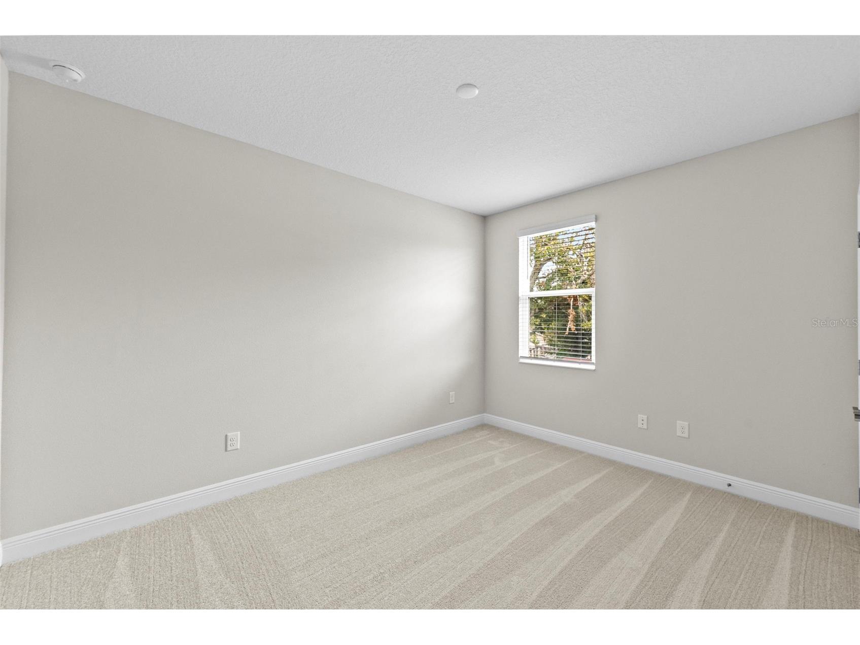 6244 29th Street N Saint Petersburg FL 33702 TB8405792 image37