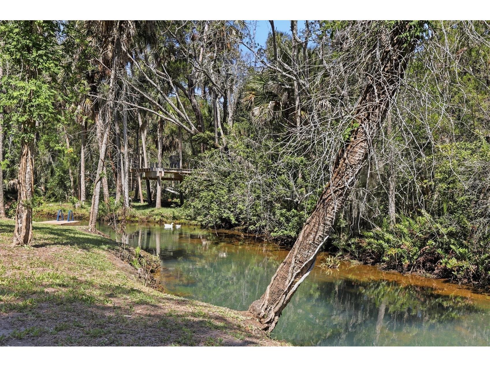 6244 Colony Circle Weeki Wachee FL 34607 - LITTLE SALT SPRING W7885877 image11