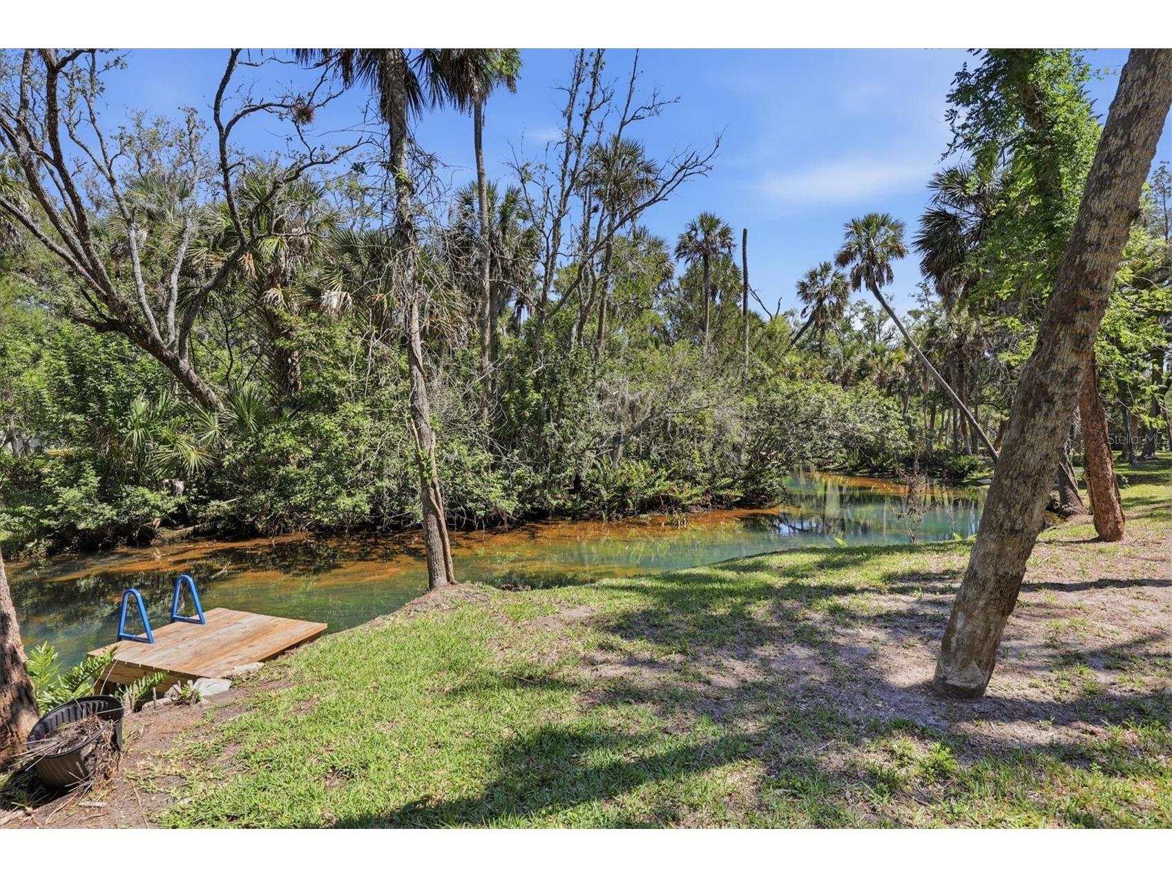 6244 Colony Circle Weeki Wachee FL 34607 - LITTLE SALT SPRING W7885877 image14