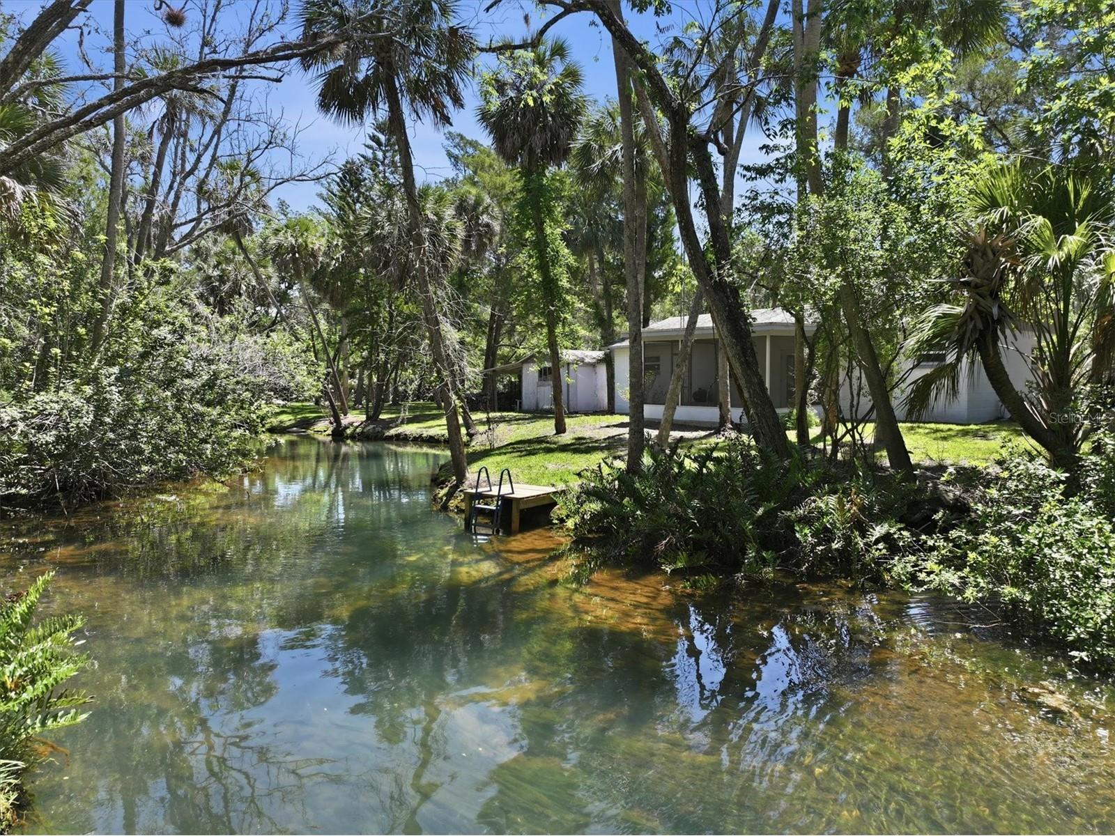 6244 Colony Circle Weeki Wachee FL 34607 - LITTLE SALT SPRING W7885877 image18