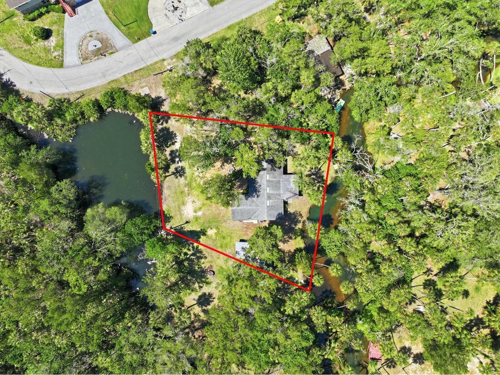 6244 Colony Circle Weeki Wachee FL 34607 - LITTLE SALT SPRING W7885877 image20