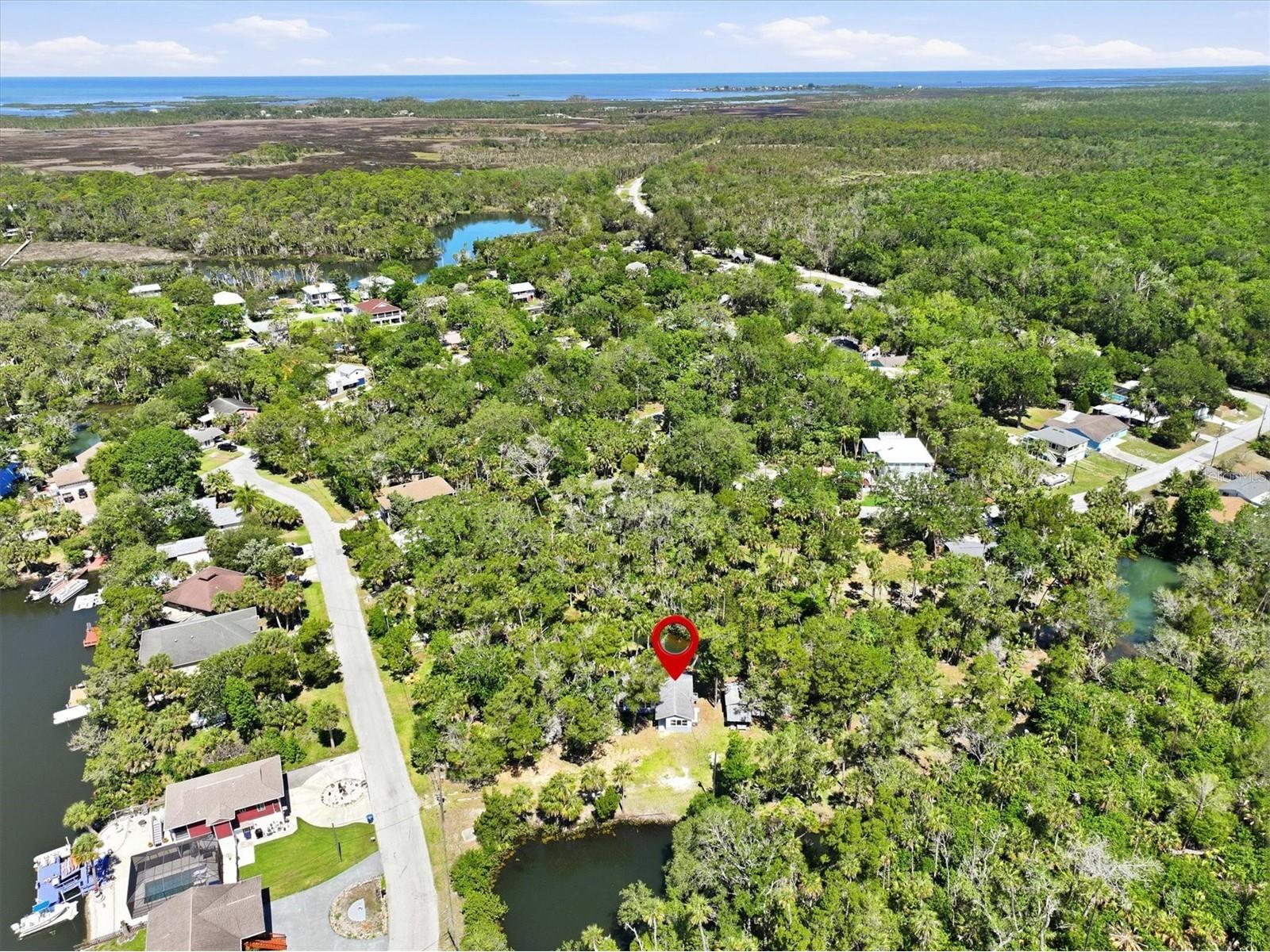 6244 Colony Circle Weeki Wachee FL 34607 - LITTLE SALT SPRING W7885877 image23