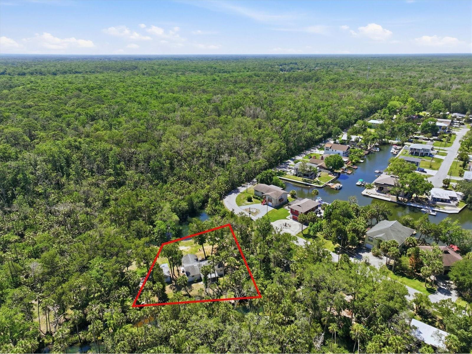 6244 Colony Circle Weeki Wachee FL 34607 - LITTLE SALT SPRING W7885877 image25