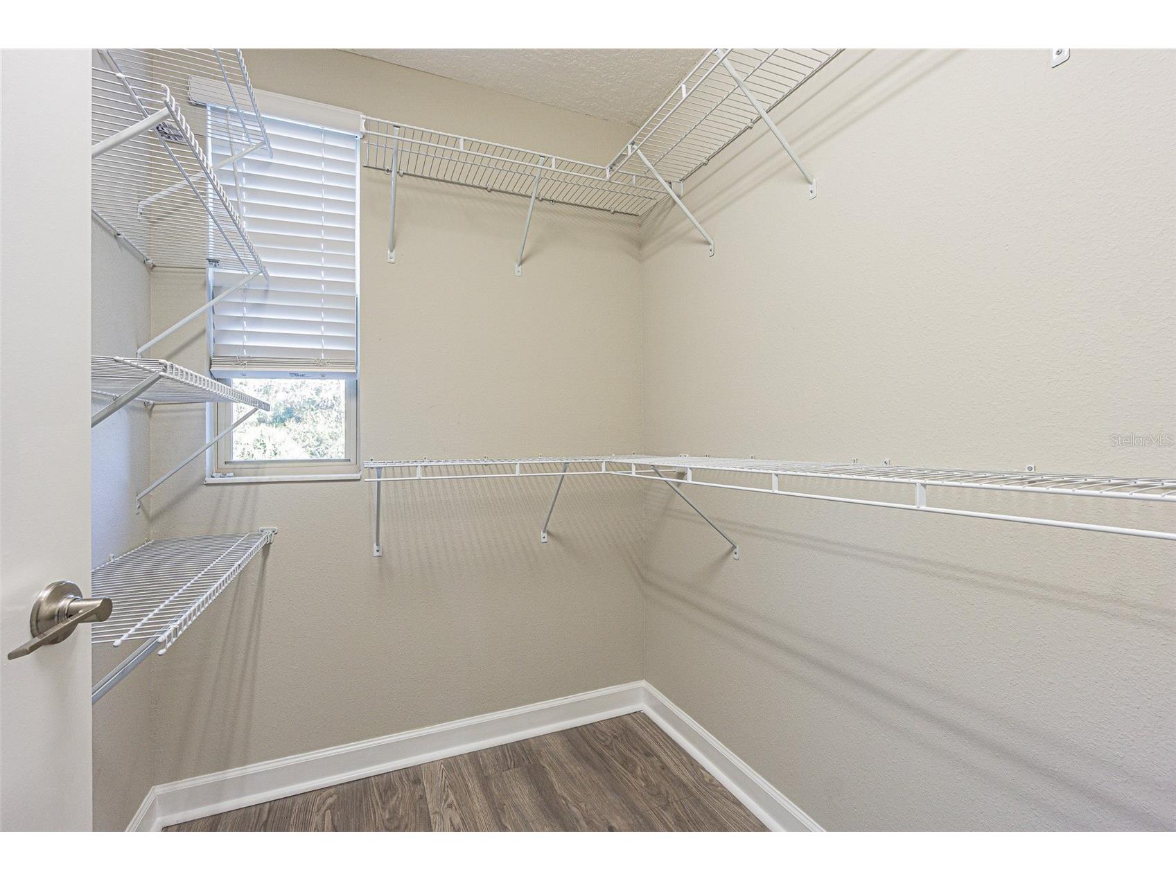 6244 English Hollow Road Tampa FL 33647 TB8470549 image33