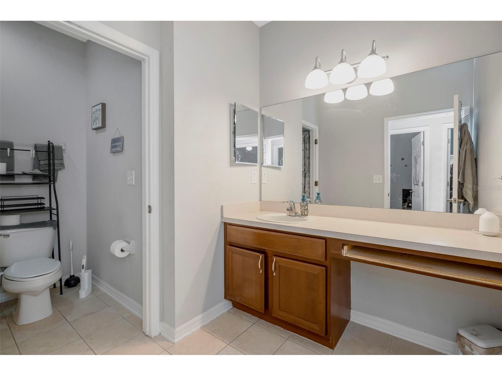 6245 Desert Peace Avenue Land O Lakes FL 34639 TB8493988 image16