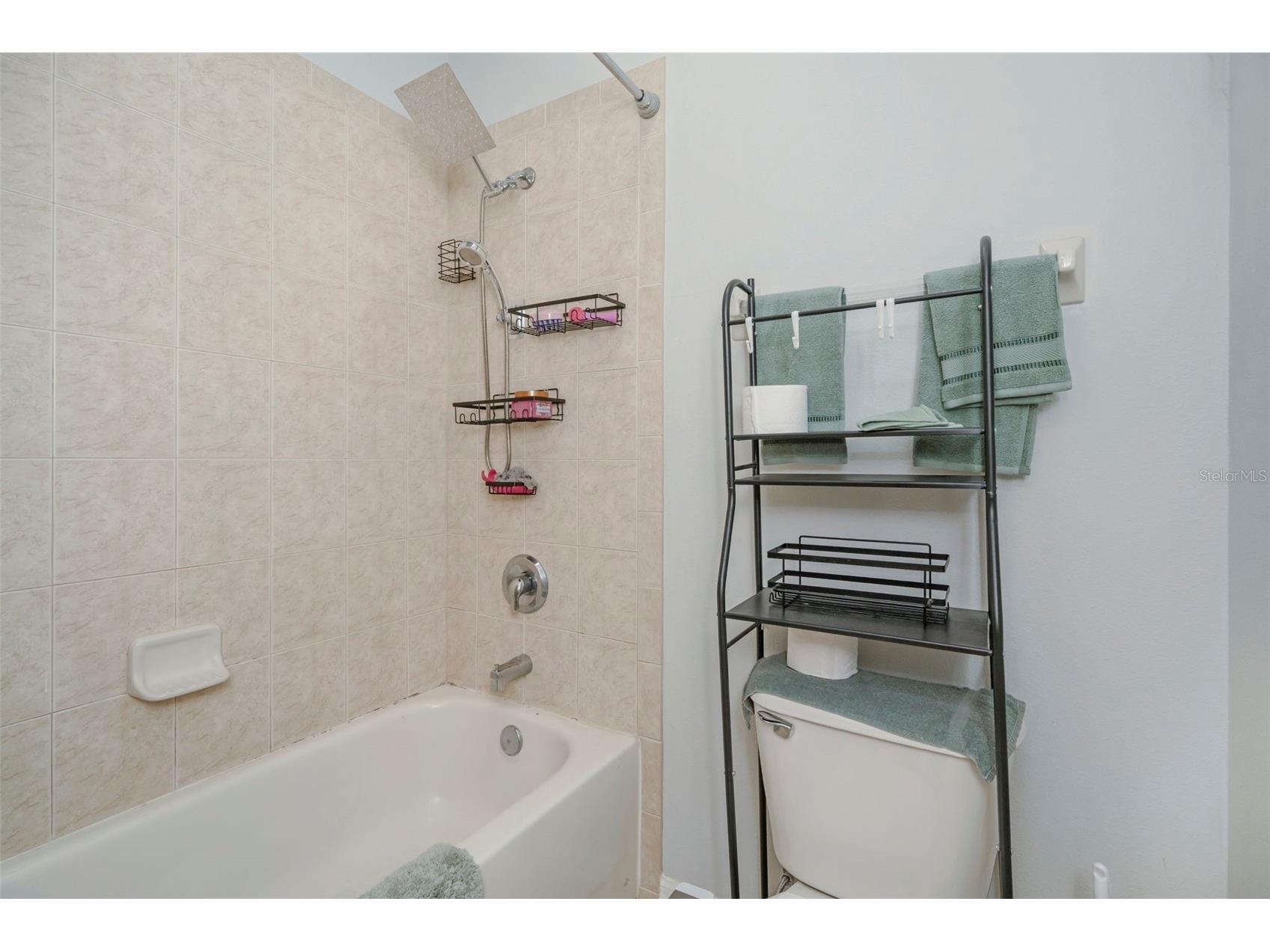 6245 Desert Peace Avenue Land O Lakes FL 34639 TB8493988 image17