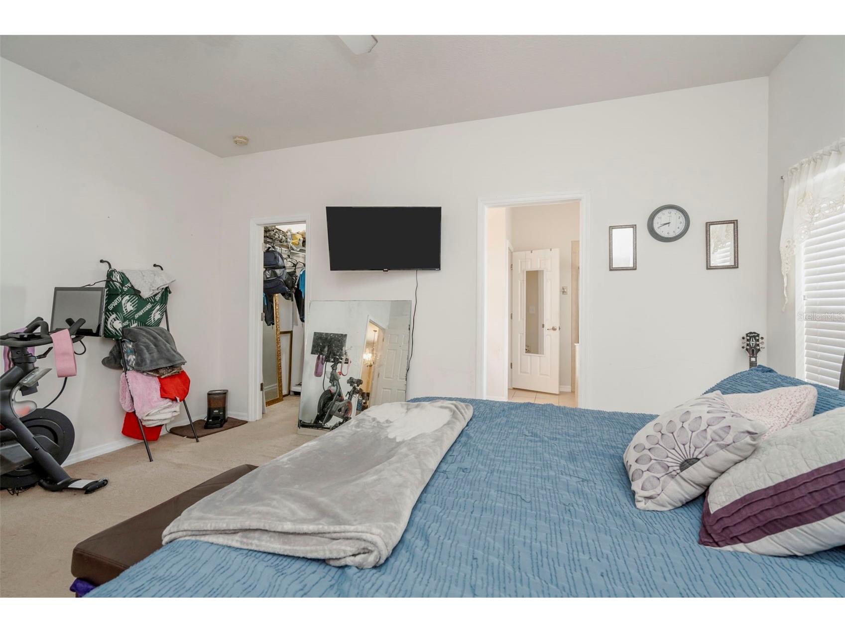 6245 Desert Peace Avenue Land O Lakes FL 34639 TB8493988 image21