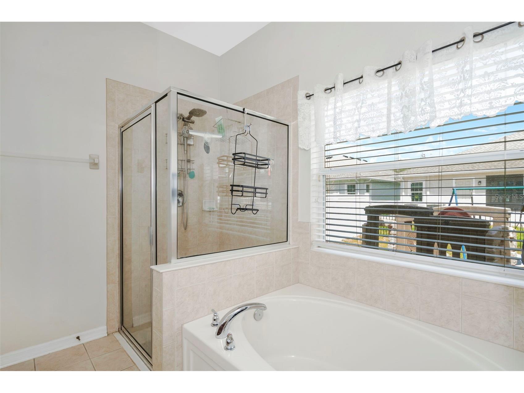 6245 Desert Peace Avenue Land O Lakes FL 34639 TB8493988 image23