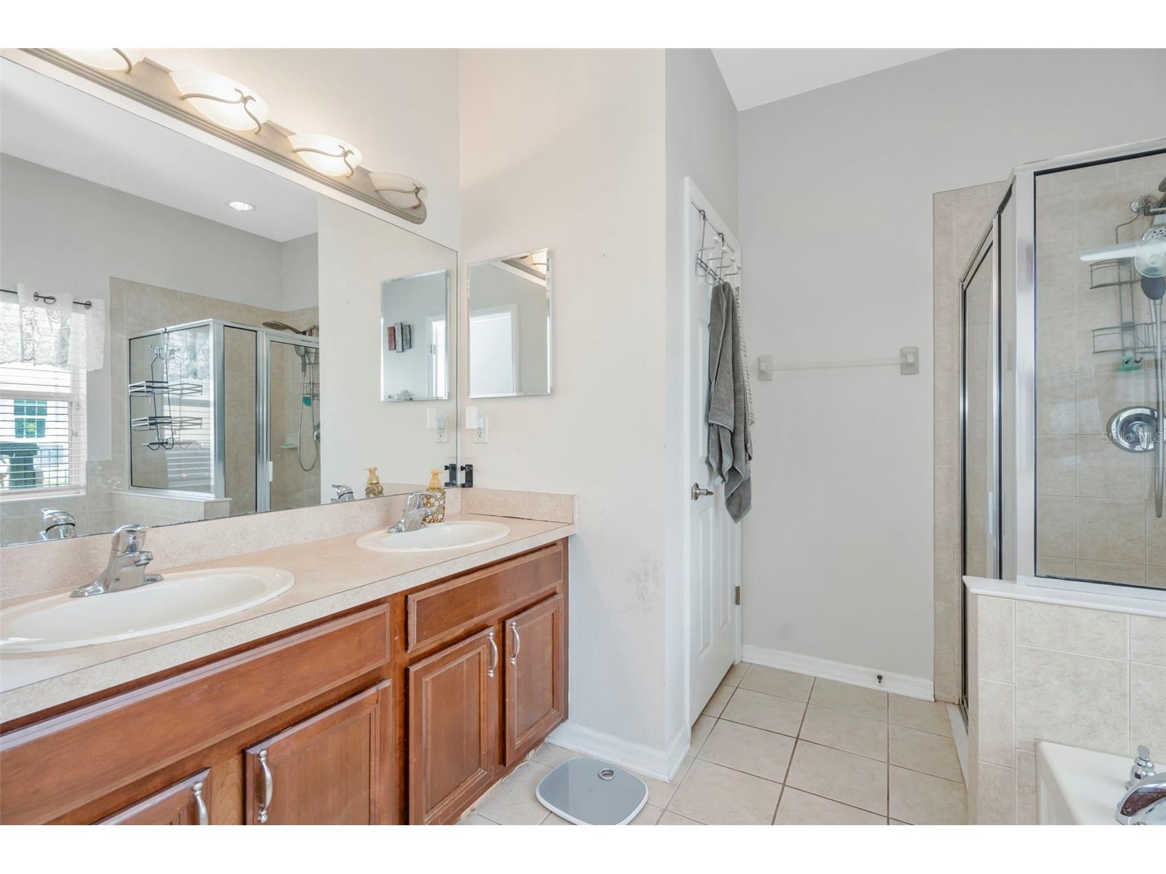 6245 Desert Peace Avenue Land O Lakes FL 34639 TB8493988 image24