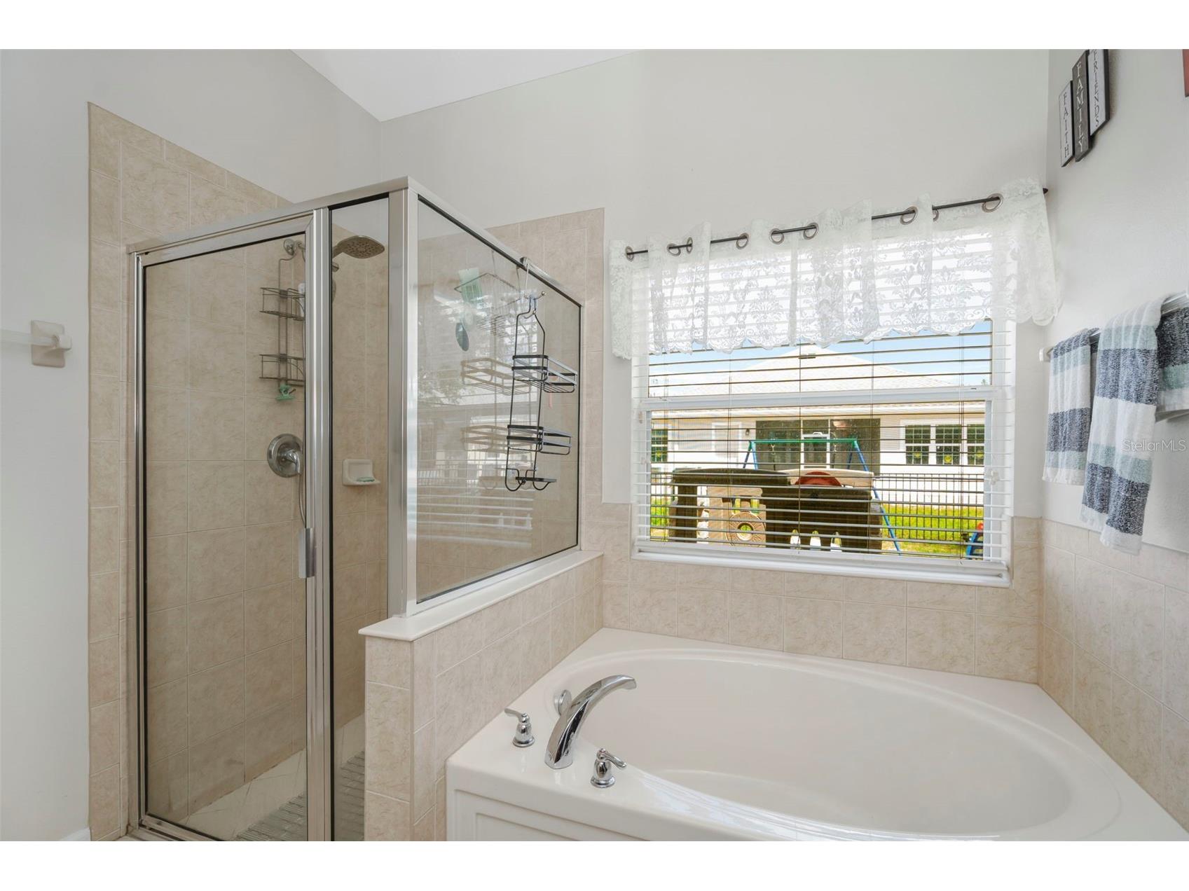 6245 Desert Peace Avenue Land O Lakes FL 34639 TB8493988 image25