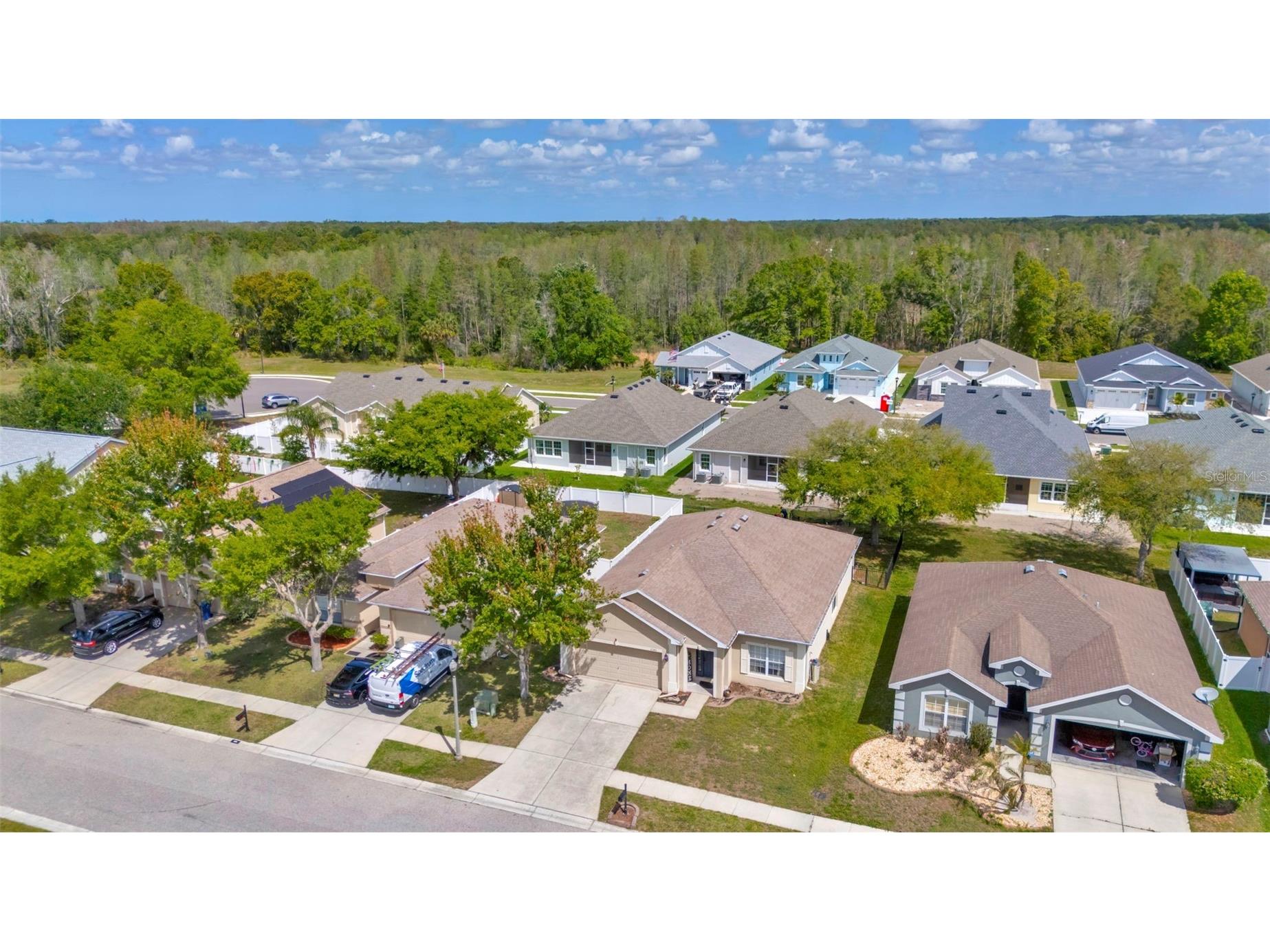 6245 Desert Peace Avenue Land O Lakes FL 34639 TB8493988 image33