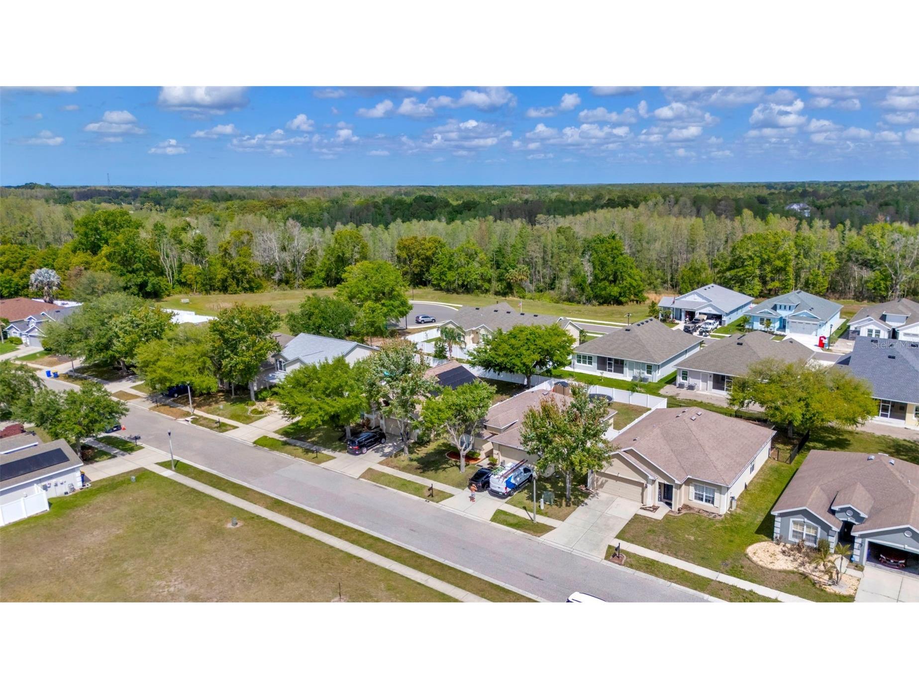 6245 Desert Peace Avenue Land O Lakes FL 34639 TB8493988 image34