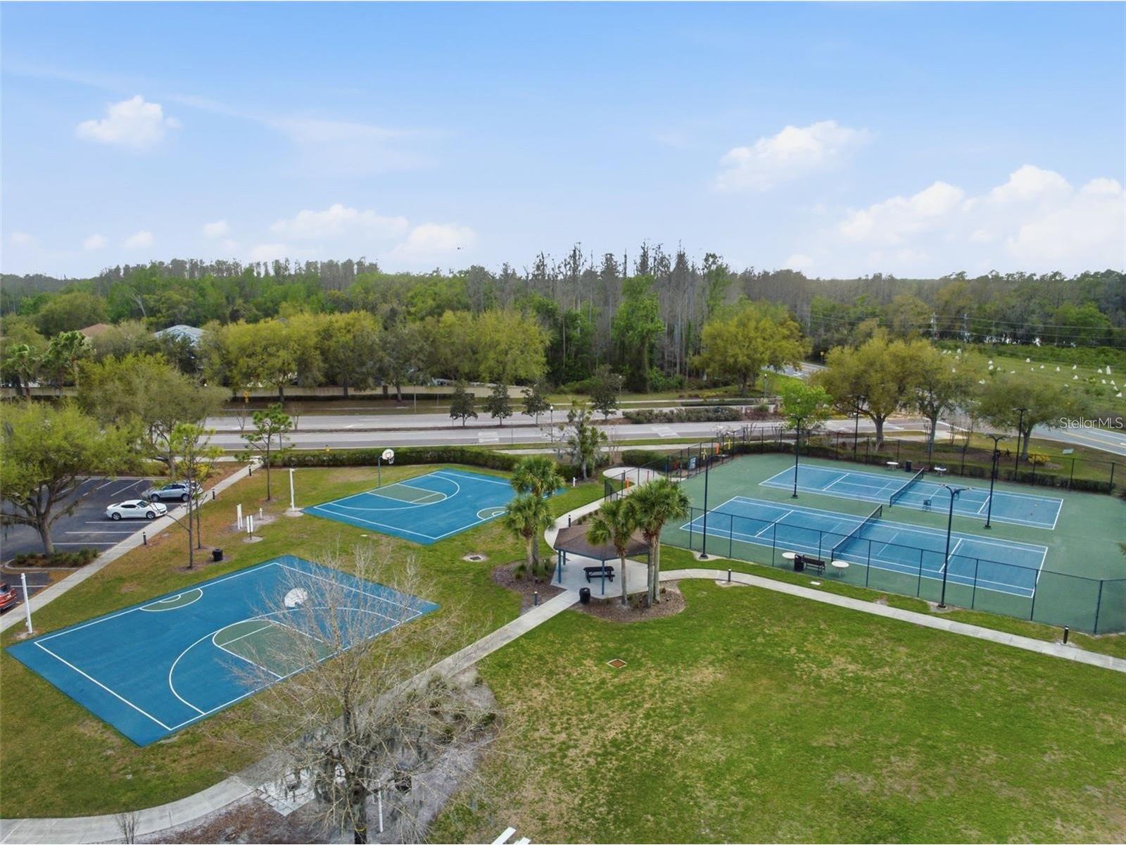 6245 Desert Peace Avenue Land O Lakes FL 34639 TB8493988 image39