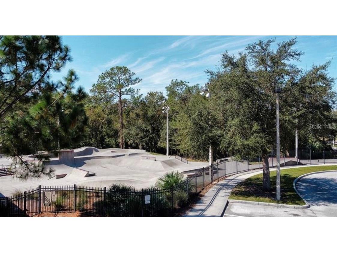 6246 English Hollow Road Tampa FL 33647 S5142136 image29