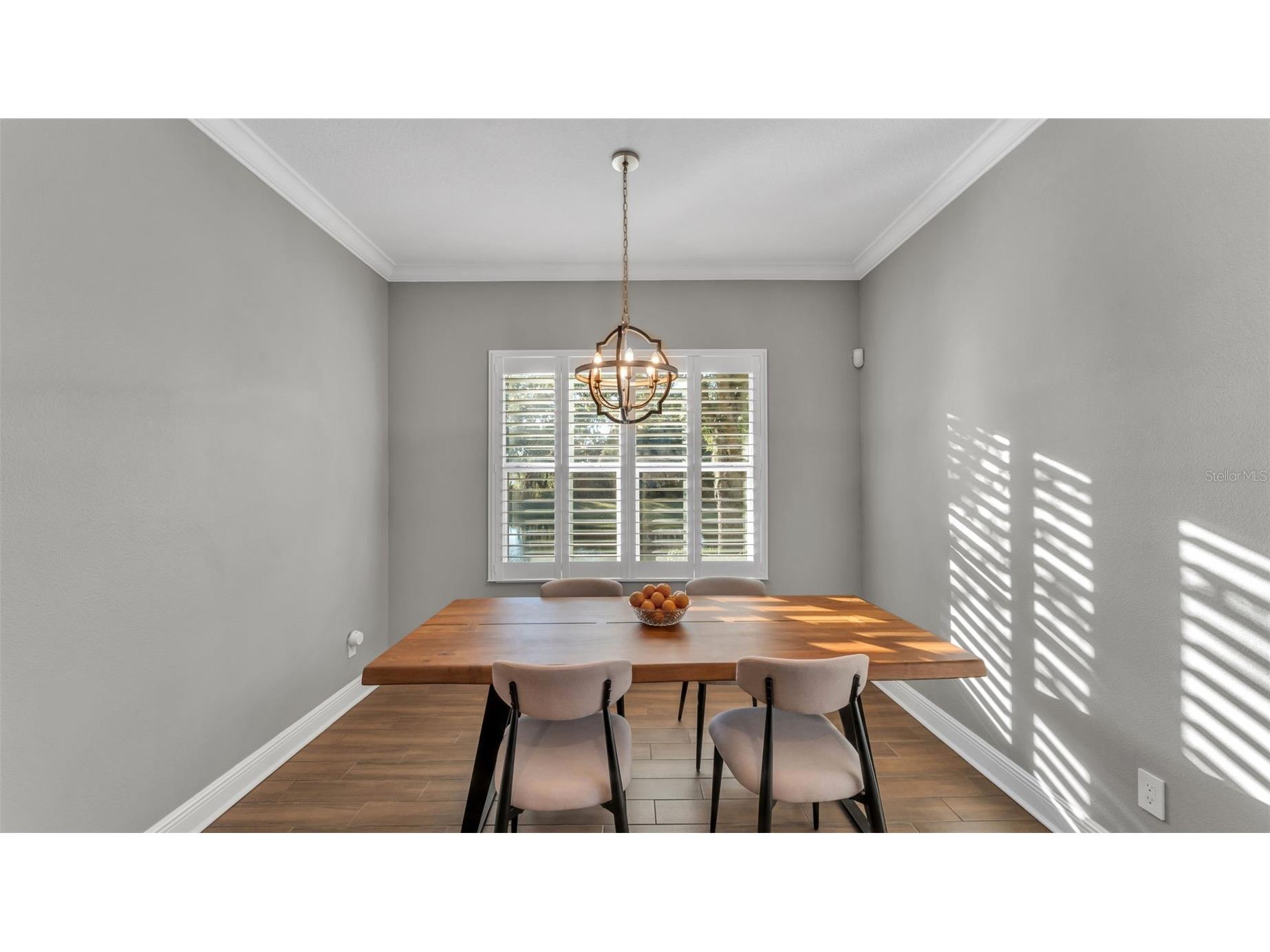 6247 Hawk Grove Court Wesley Chapel FL 33545 L4957903 image18