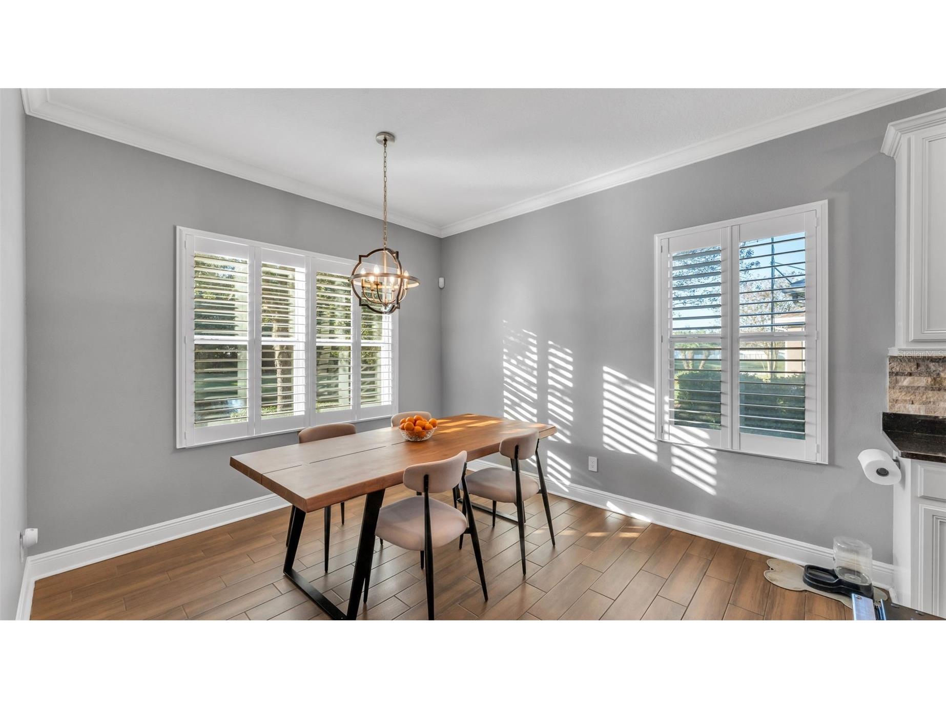 6247 Hawk Grove Court Wesley Chapel FL 33545 L4957903 image19