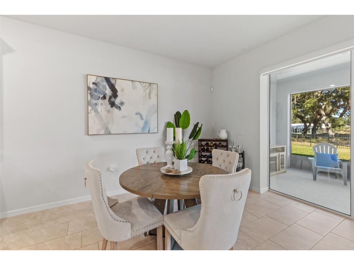 6248 Bradford Woods Dr Zephyrhills FL 33542 TB8445427 image21