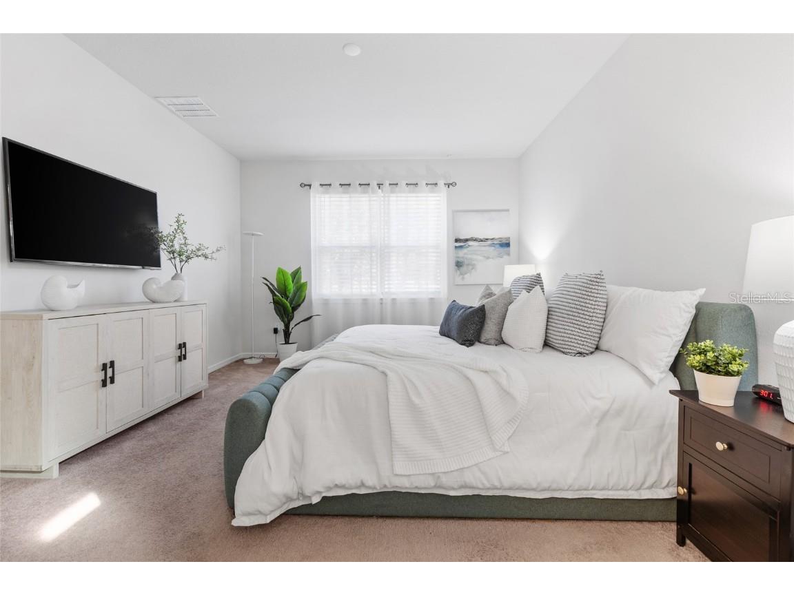 6248 Bradford Woods Dr Zephyrhills FL 33542 TB8445427 image29