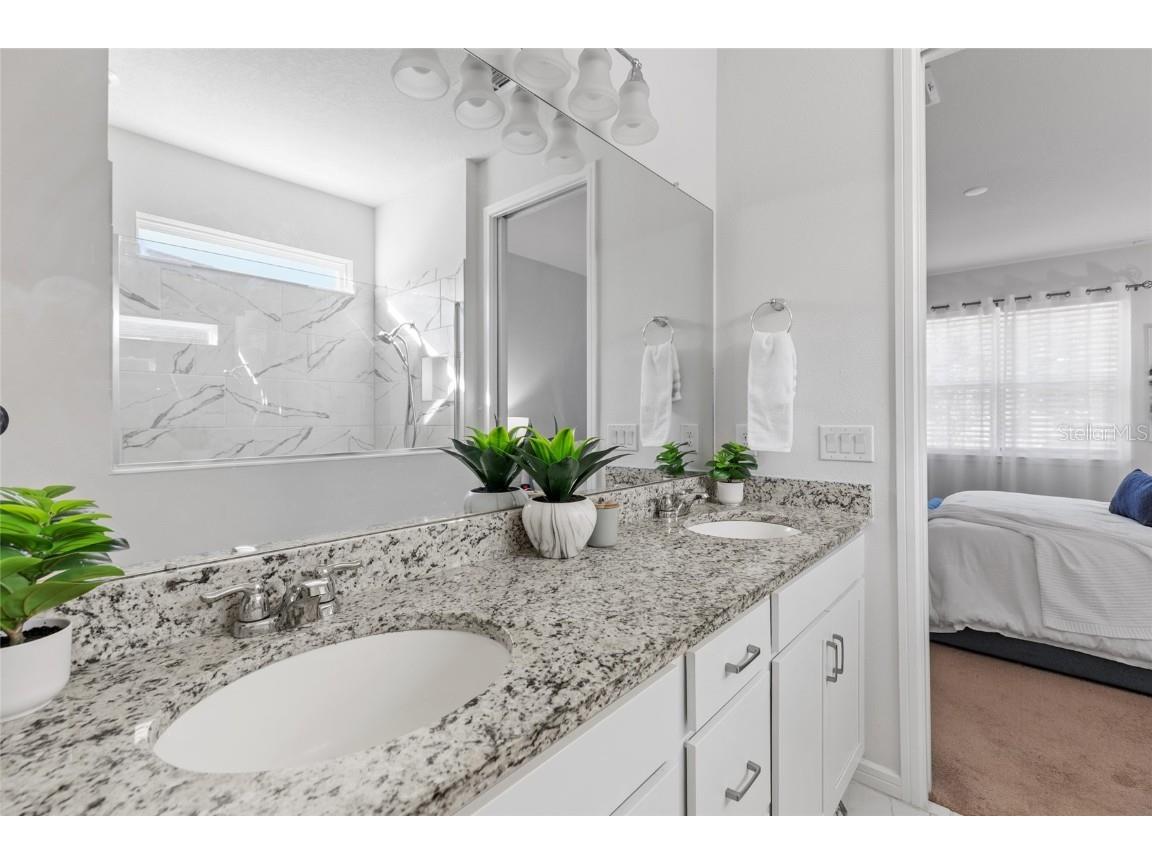 6248 Bradford Woods Dr Zephyrhills FL 33542 TB8445427 image31