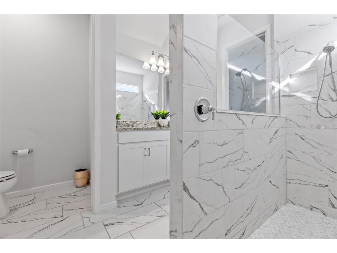 6248 Bradford Woods Dr Zephyrhills FL 33542 TB8445427 image33