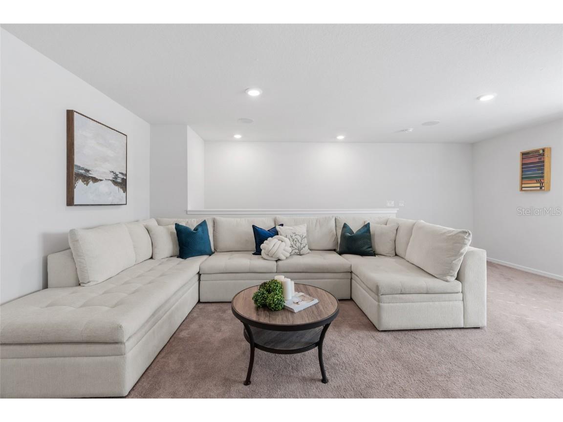 6248 Bradford Woods Dr Zephyrhills FL 33542 TB8445427 image37