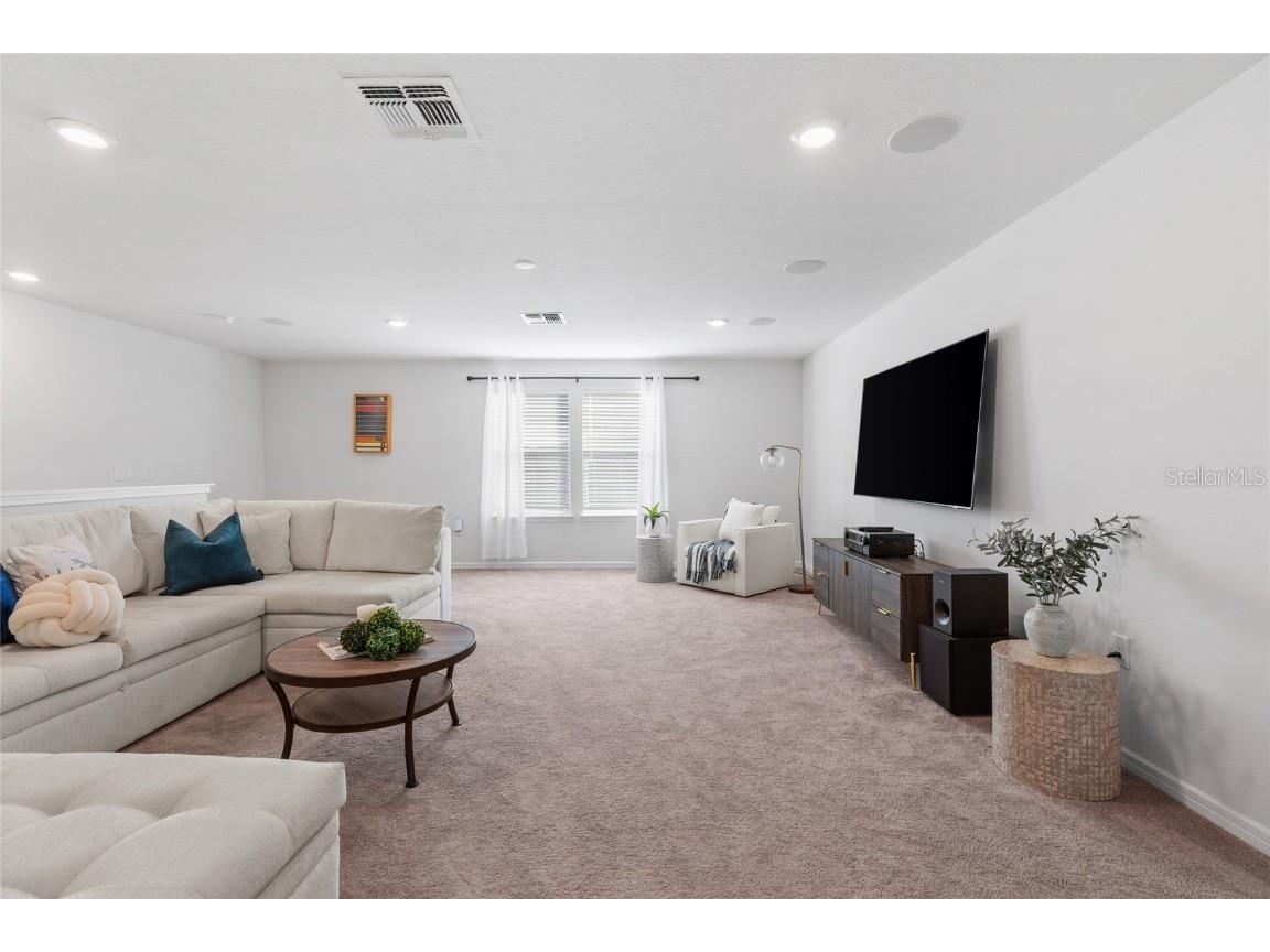 6248 Bradford Woods Dr Zephyrhills FL 33542 TB8445427 image40