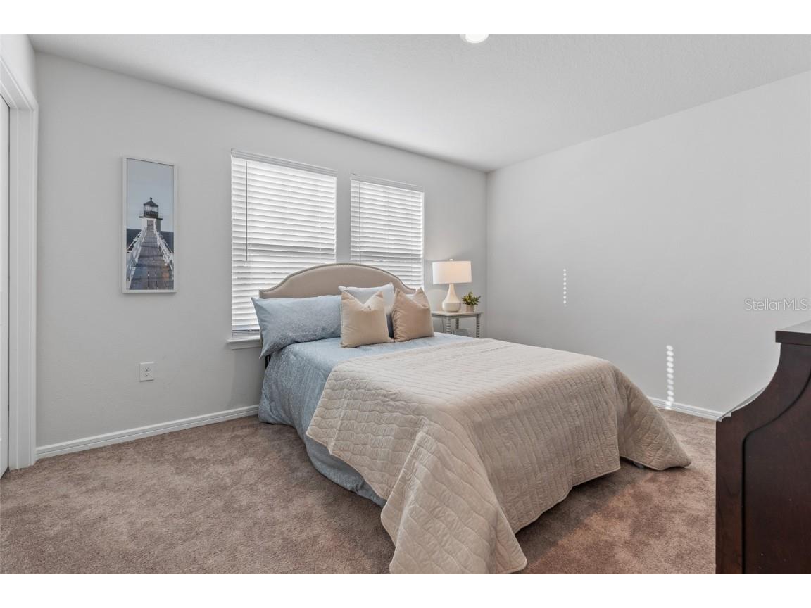 6248 Bradford Woods Dr Zephyrhills FL 33542 TB8445427 image45