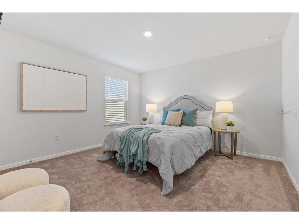 6248 Bradford Woods Dr Zephyrhills FL 33542 TB8445427 image50