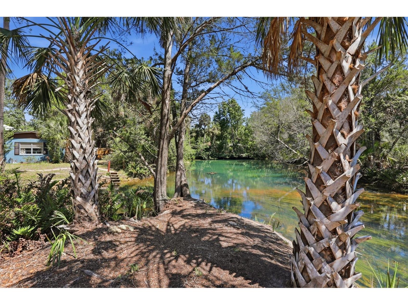 6248 Colony Circle Weeki Wachee FL 34607 - LITTLE SALT SPRING RUN W7885885 image1