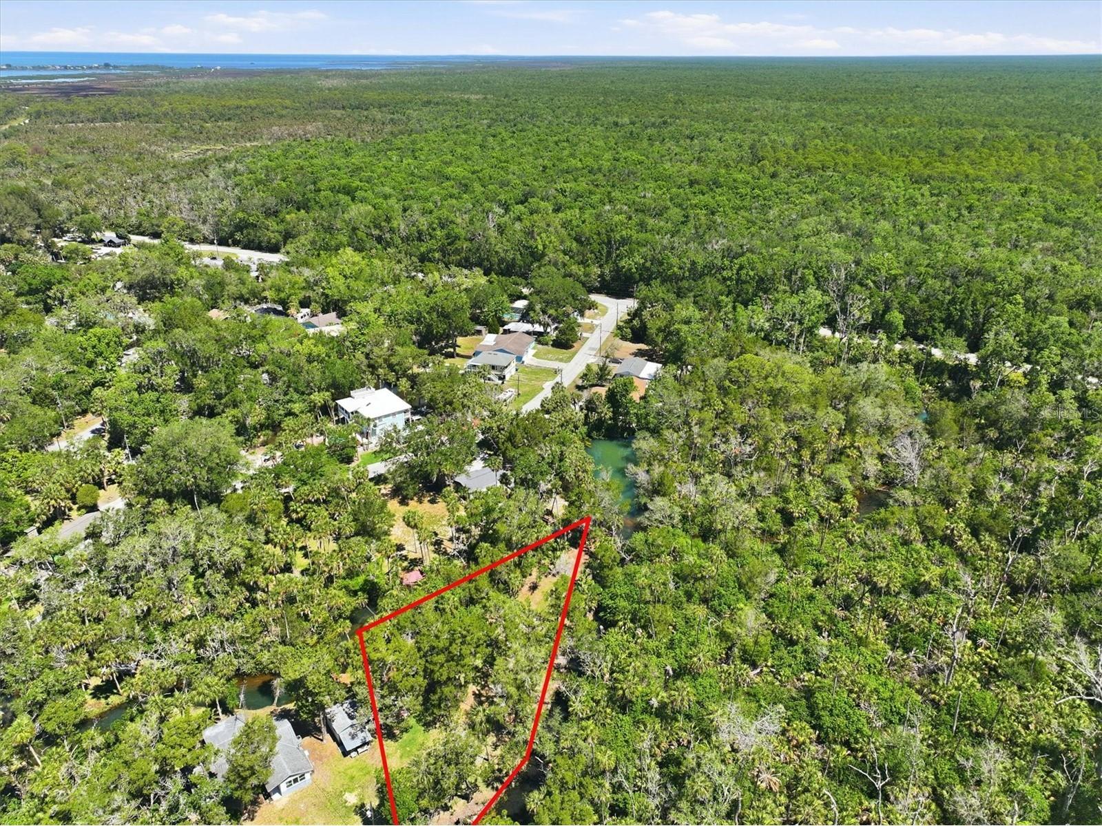 6248 Colony Circle Weeki Wachee FL 34607 - LITTLE SALT SPRING RUN W7885885 image12