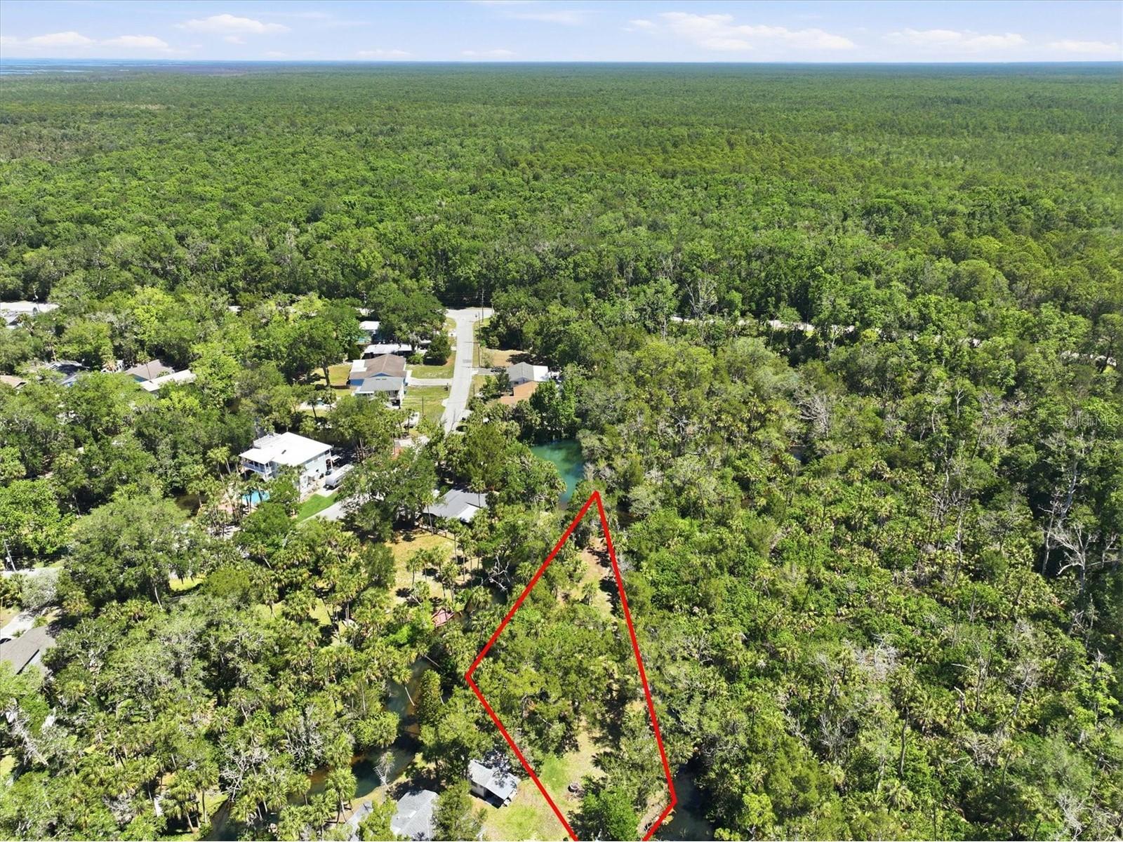 6248 Colony Circle Weeki Wachee FL 34607 - LITTLE SALT SPRING RUN W7885885 image14