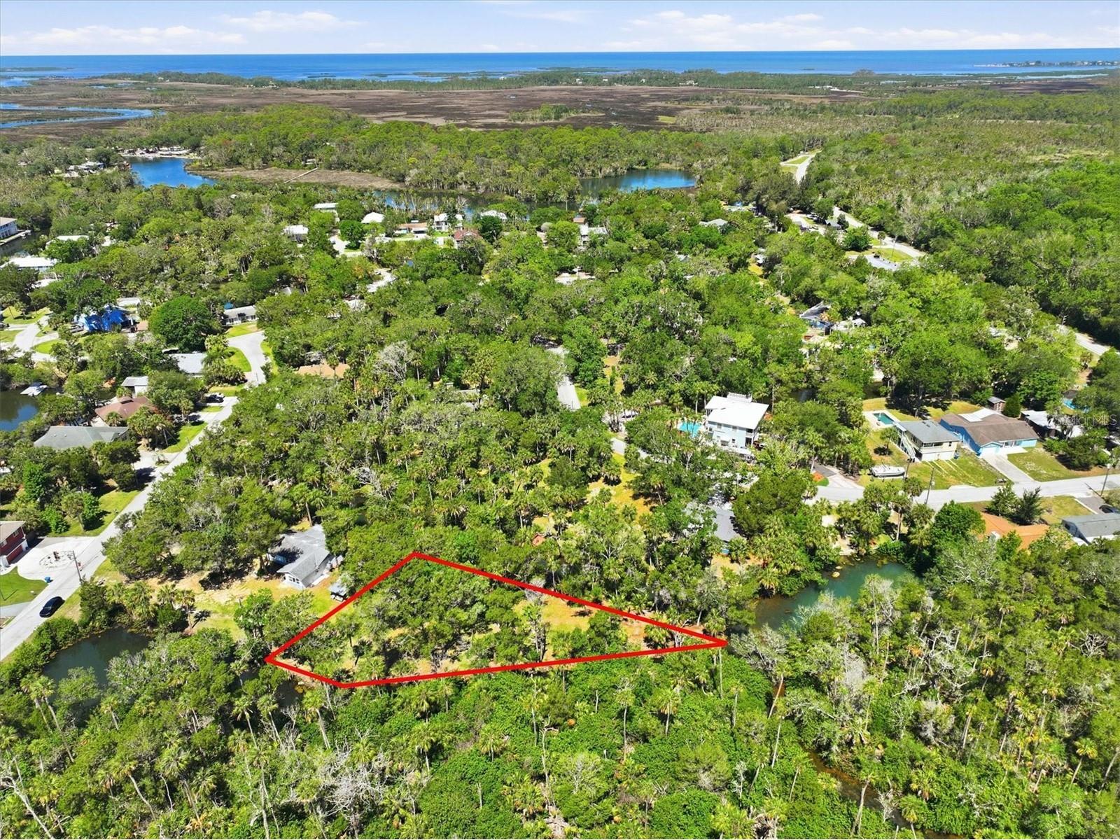 6248 Colony Circle Weeki Wachee FL 34607 - LITTLE SALT SPRING RUN W7885885 image16