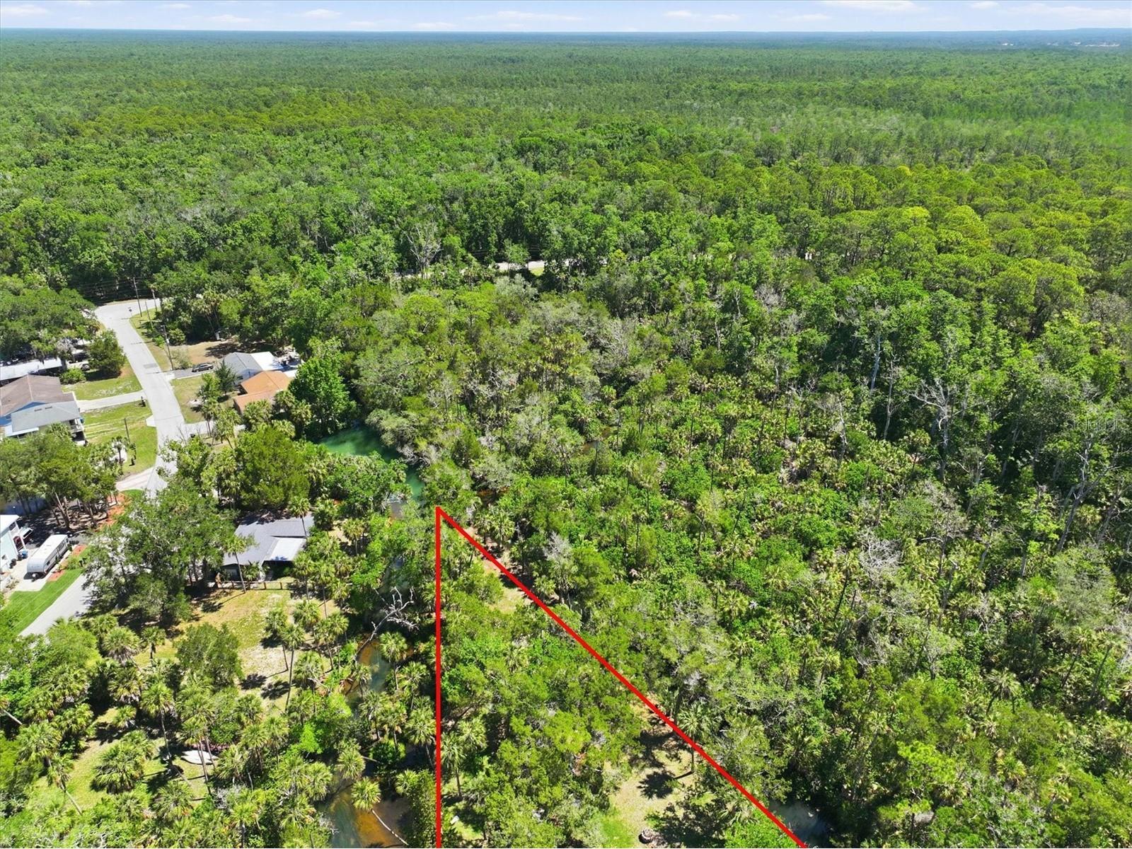 6248 Colony Circle Weeki Wachee FL 34607 - LITTLE SALT SPRING RUN W7885885 image20