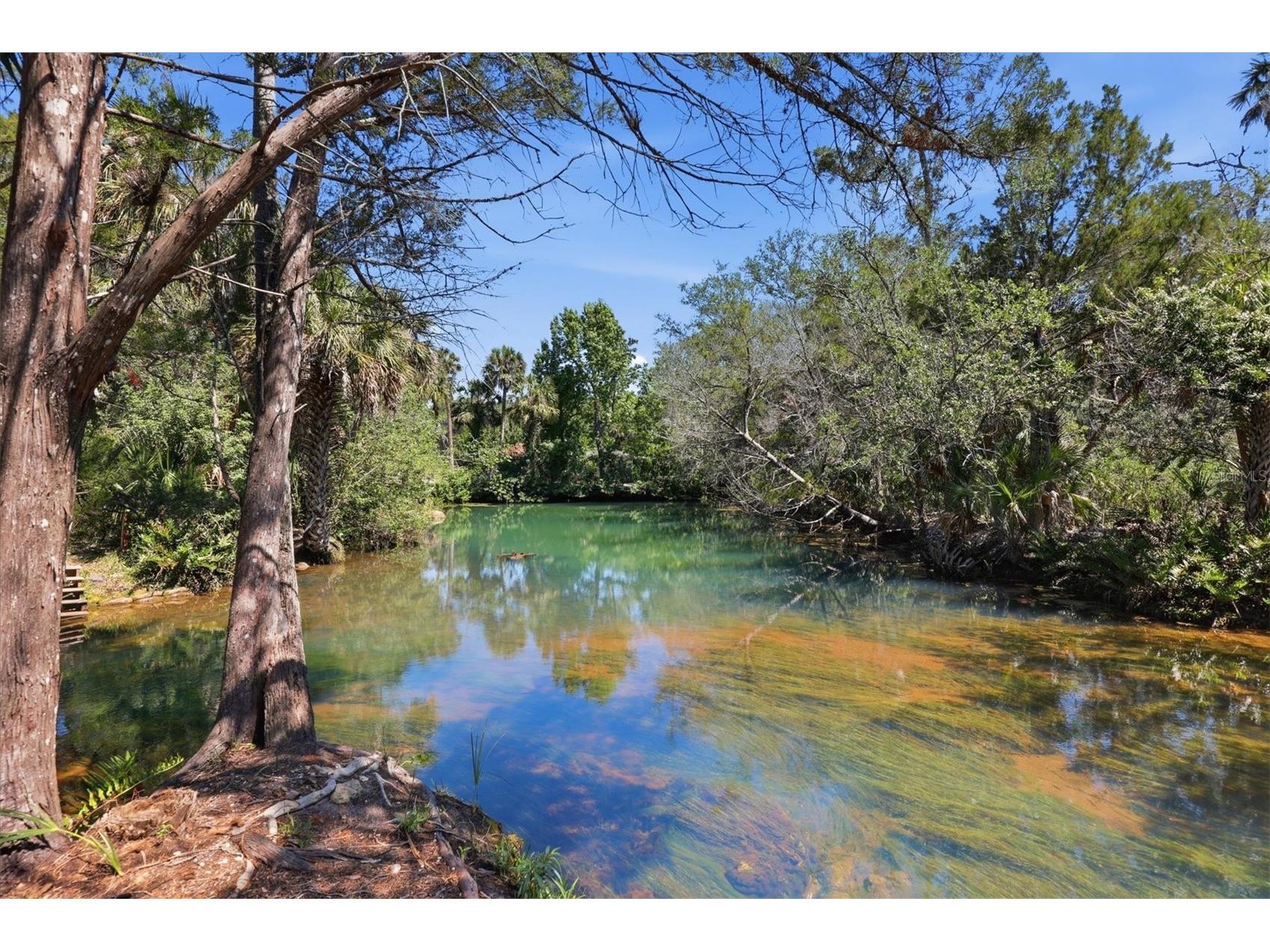 6248 Colony Circle Weeki Wachee FL 34607 - LITTLE SALT SPRING RUN W7885885 image3