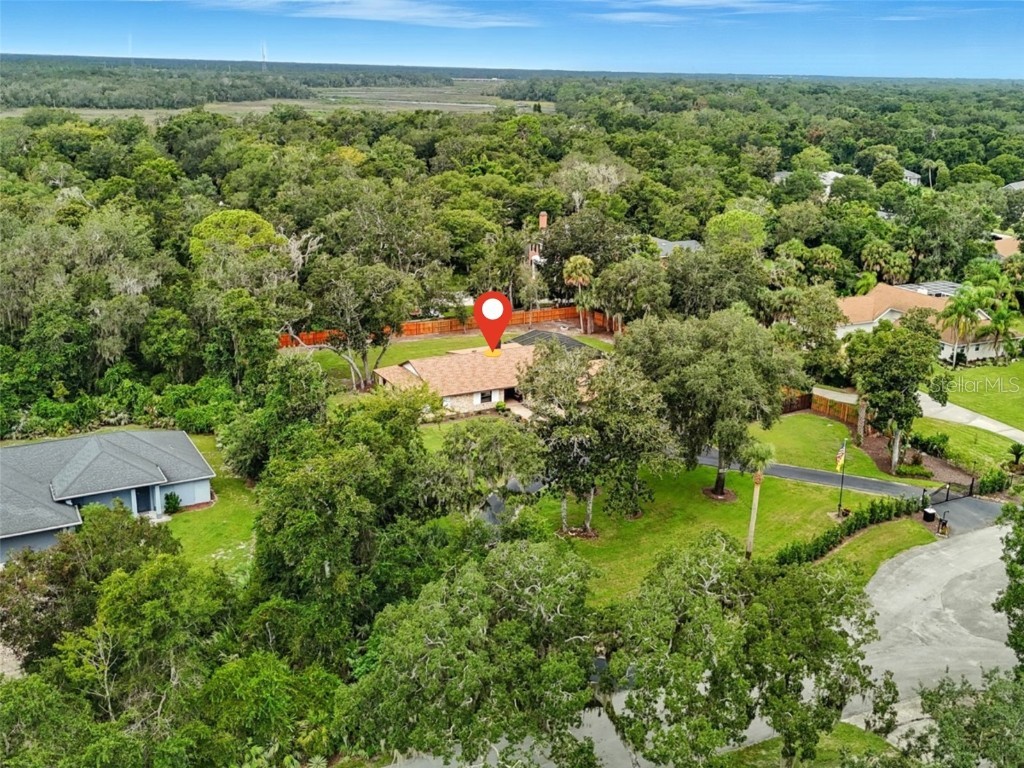 6248 Palomino Circle Port Orange FL 32127 V4945990 image51