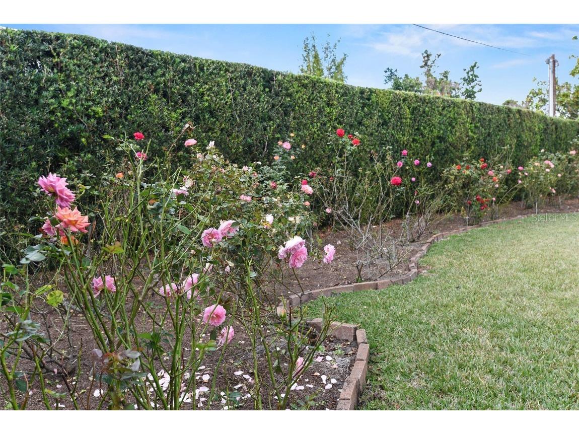 625 Brechin Drive Winter Park FL 32792 O6280564 image33