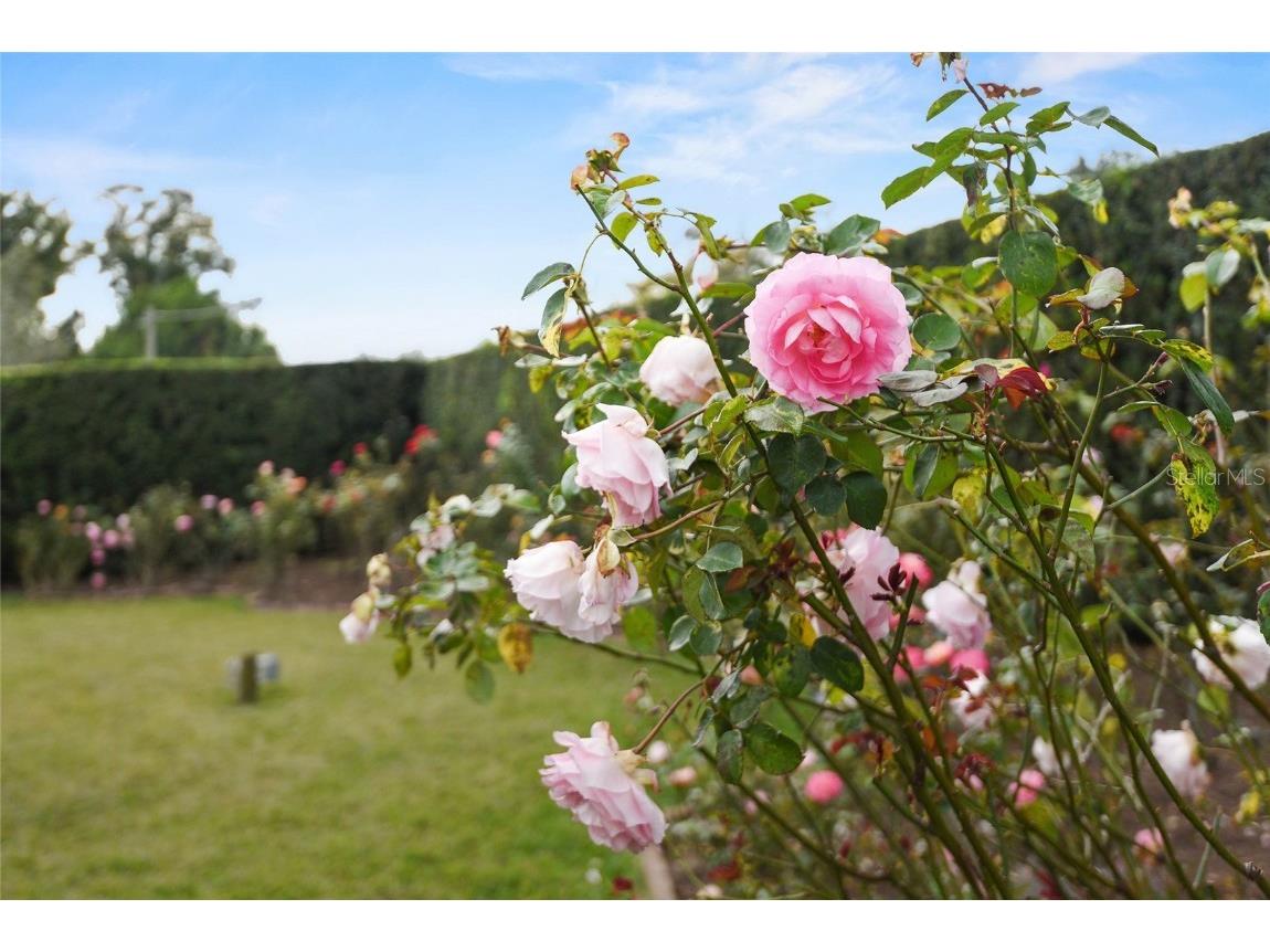 625 Brechin Drive Winter Park FL 32792 O6280564 image34