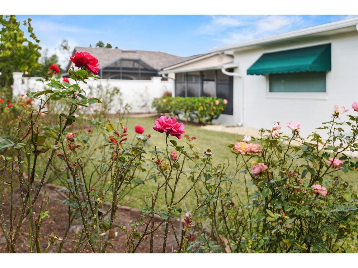 625 Brechin Drive Winter Park FL 32792 O6280564 image36