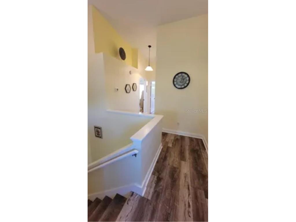 625 Duchess Boulevard Dunedin FL 34698 O6345691 image13