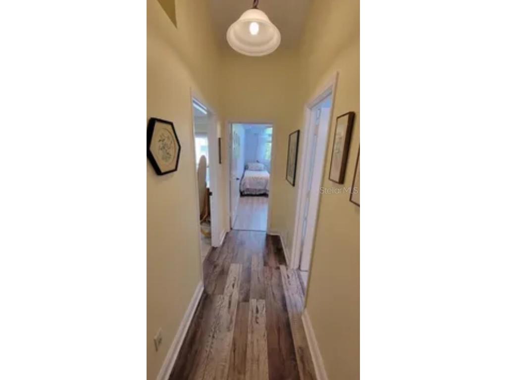 625 Duchess Boulevard Dunedin FL 34698 O6345691 image14