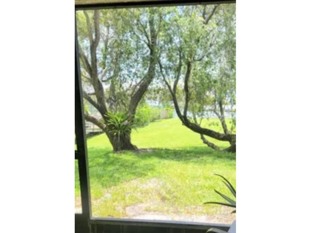 625 Duchess Boulevard Dunedin FL 34698 O6345691 image35