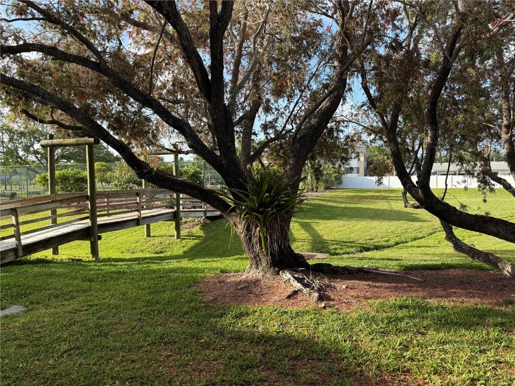 625 Duchess Boulevard Dunedin FL 34698 O6345691 image36