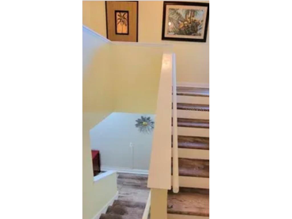 625 Duchess Boulevard Dunedin FL 34698 O6345691 image4