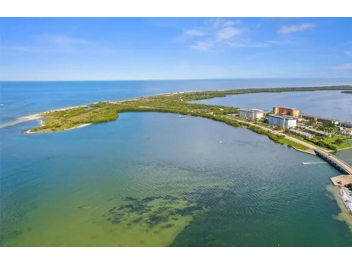 625 Duchess Boulevard Dunedin FL 34698 O6345691 image43