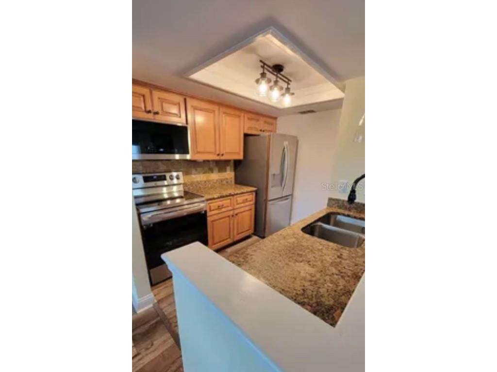 625 Duchess Boulevard Dunedin FL 34698 O6345691 image5