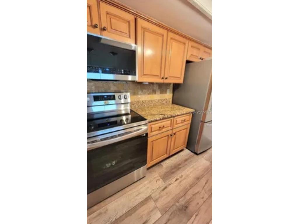 625 Duchess Boulevard Dunedin FL 34698 O6345691 image6