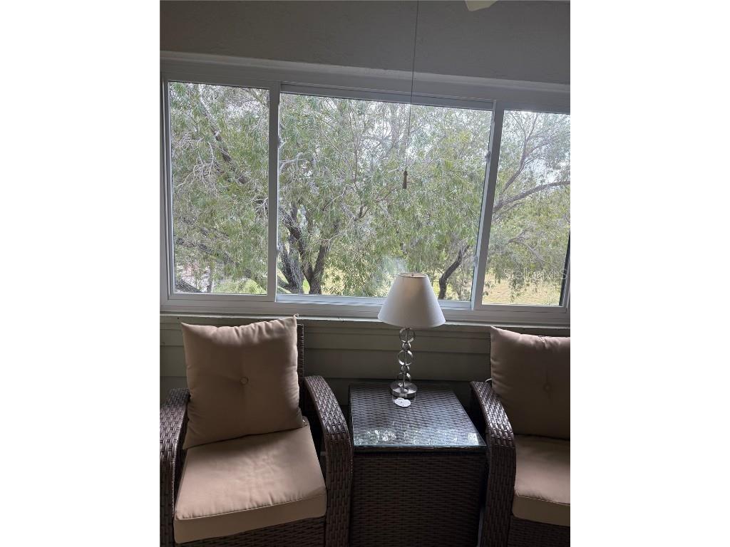 625 Duchess Boulevard Dunedin FL 34698 O6345691 image72