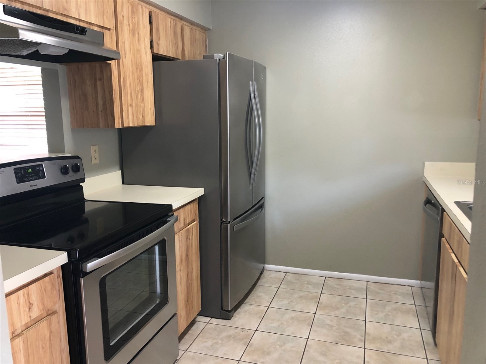 625 E 8th Avenue Mount Dora FL 32757 G5112426 image4